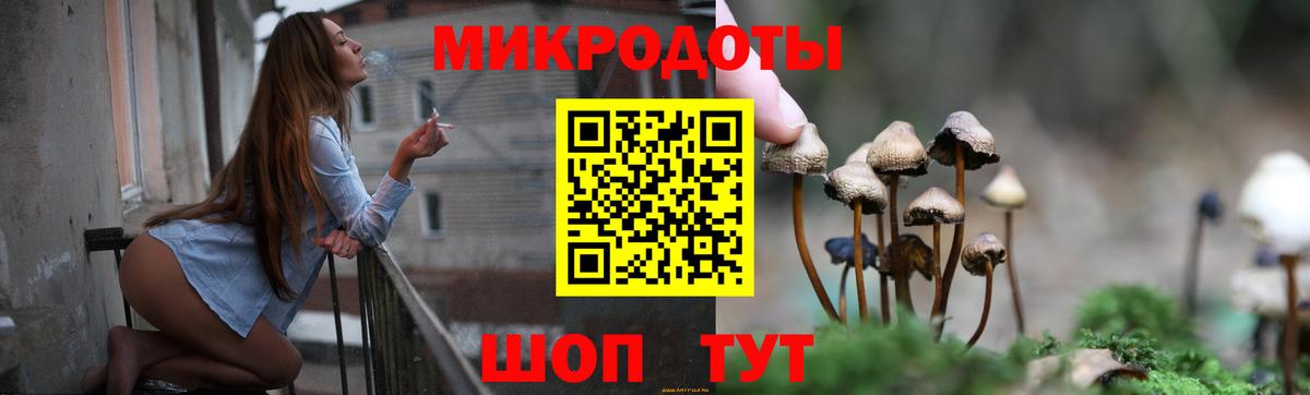 Псилоцибиновые грибы GOLDEN TEACHER Азов