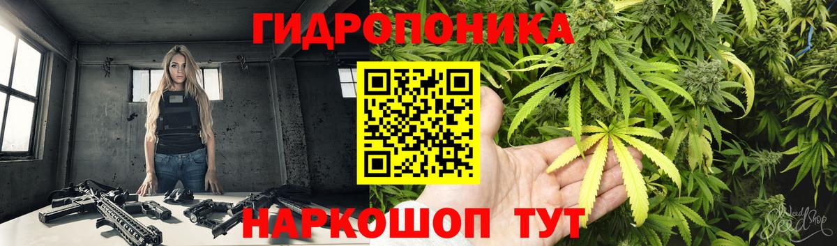 Бошки Шишки тримм  Марихуана план  МАРИХУАНА ГИДРОПОН  Азов  Вход с VPN 